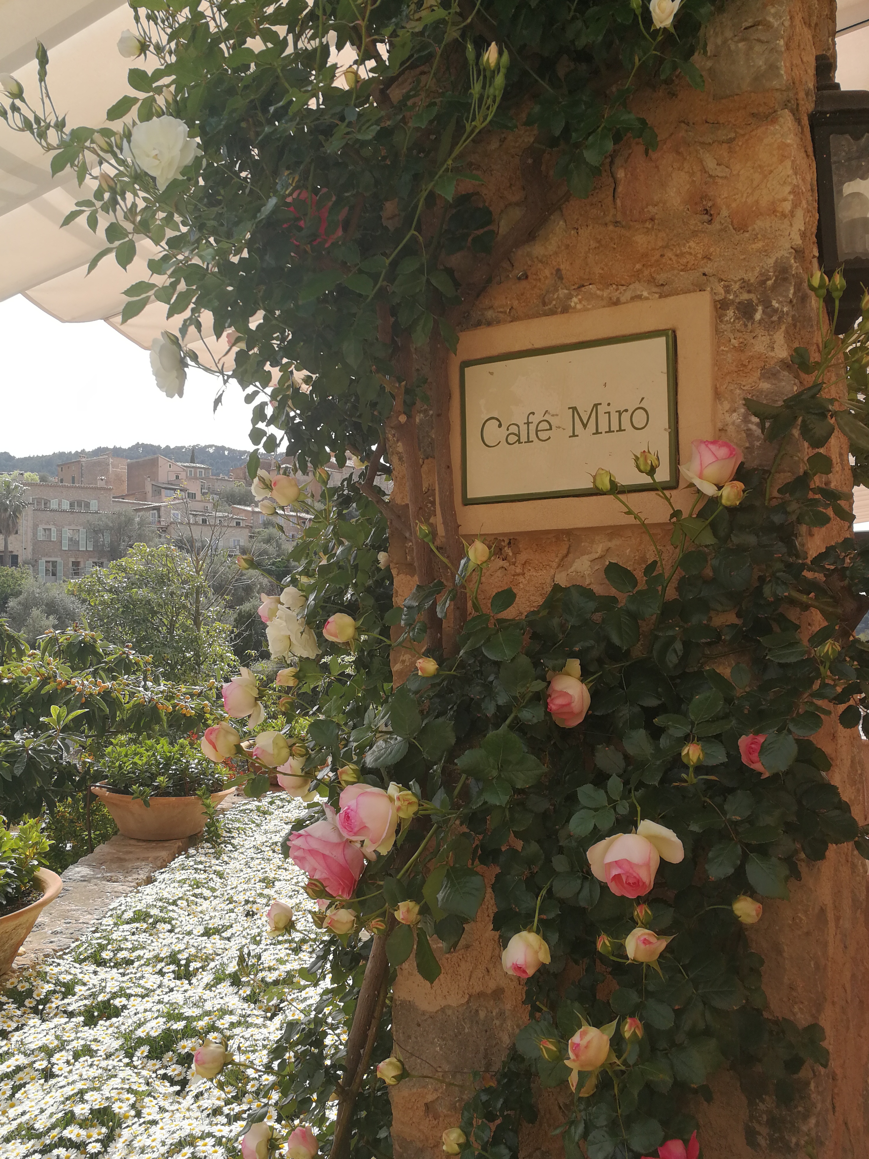 What's New at Café Miró for 2022 – Eat Drink Sleep Mallorca